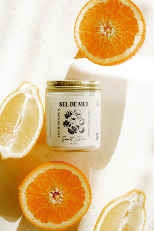 Sunlit Citrus